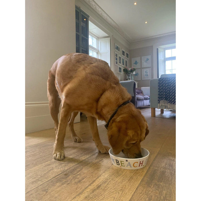 Seakisses  Beach Dog Bowl - on sale