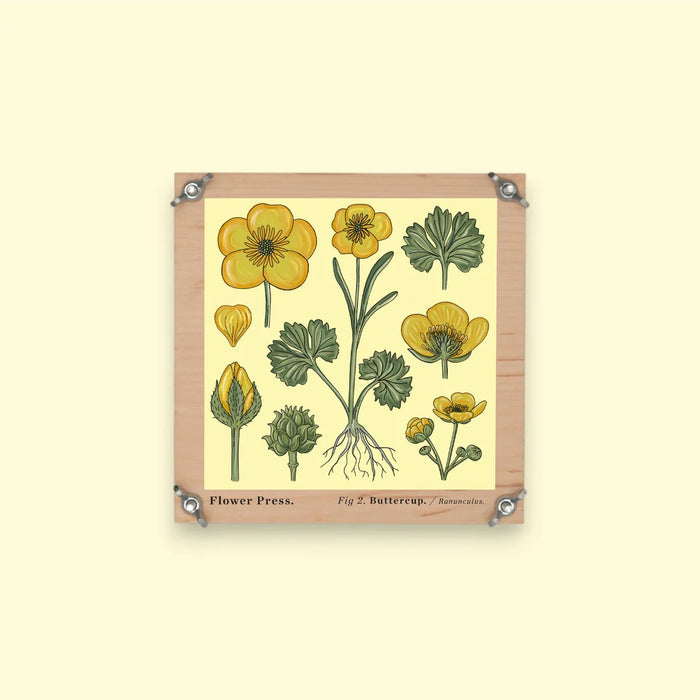 Studio Wald - Flower Press - Vintage Buttercup