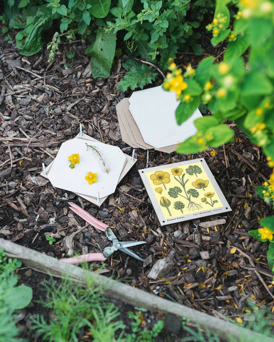 Studio Wald - Flower Press - Vintage Buttercup