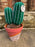 Hooked and Hung Crochet Cactus plant in hand painted pot