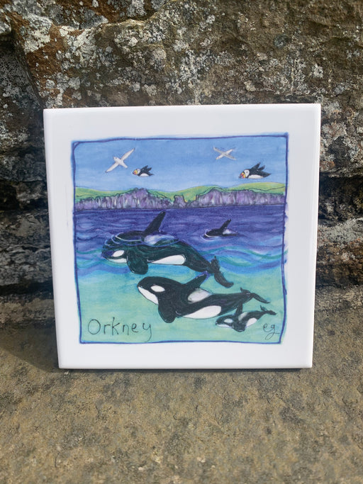 Orkney Orca Bespoke Small Tile Coaster