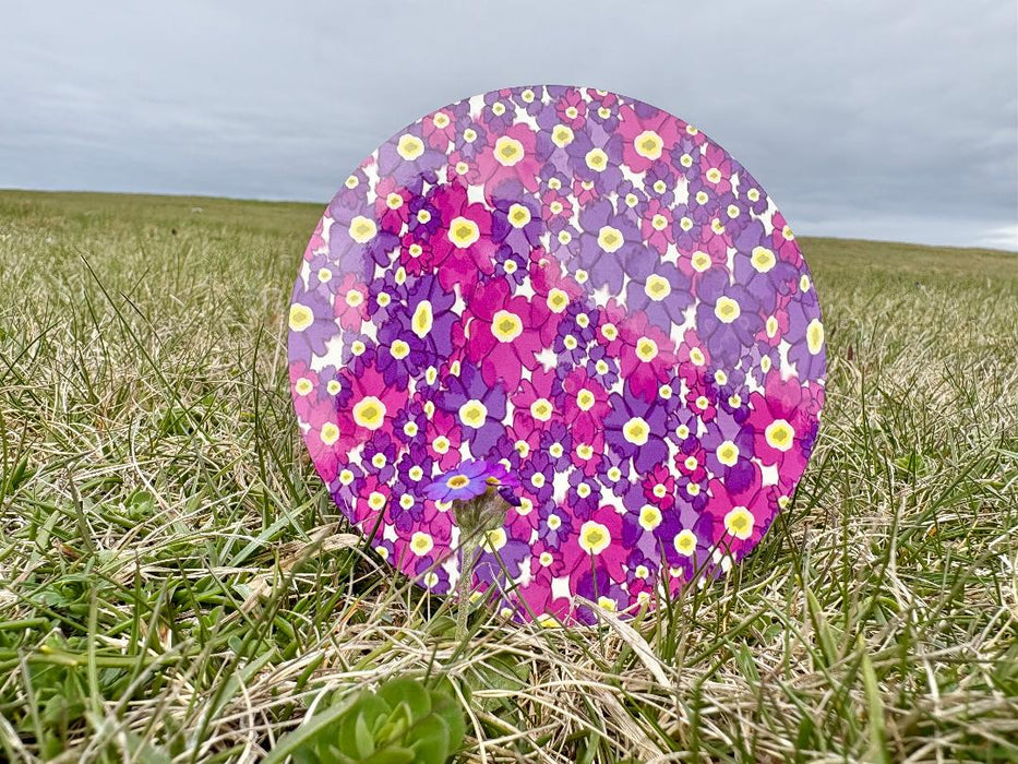 Elsa Tait Designs Primula Scotica Ceramic Coaster