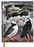 Angela Harding Fair Isle Puffins Sketchbook by Flametree Publishing
