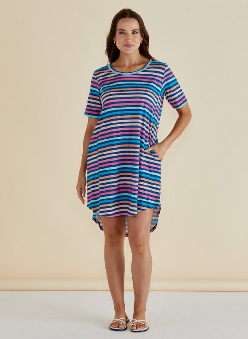 Betty Basics Nyree Dress in Multi Stripe