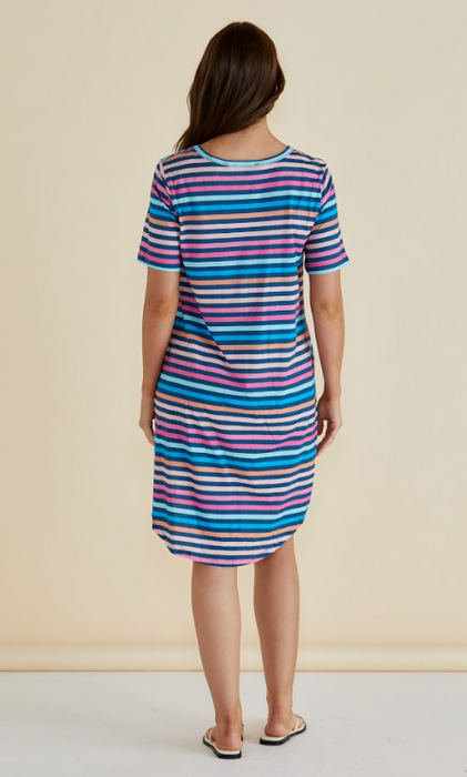 Betty Basics Nyree Dress in Multi Stripe