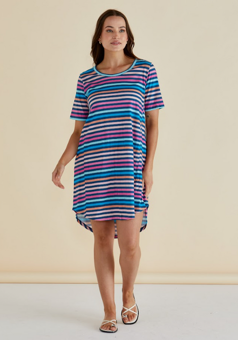 Betty Basics Nyree Dress in Multi Stripe