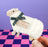 Hairy Coo & Co. - Standing Woolly Ewe Ornaments