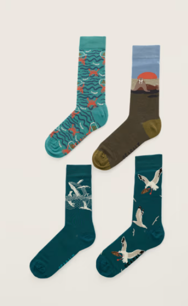 NEW Seasalt Men's Arty Socks - Cornish Creatures Dowr Mix