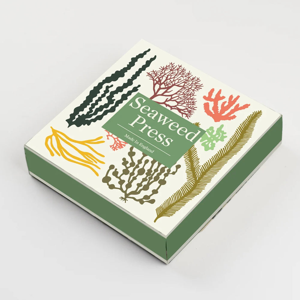 Studio Wald - Seaweed Press Kit