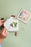 Studio Wald - Seaweed Press Kit