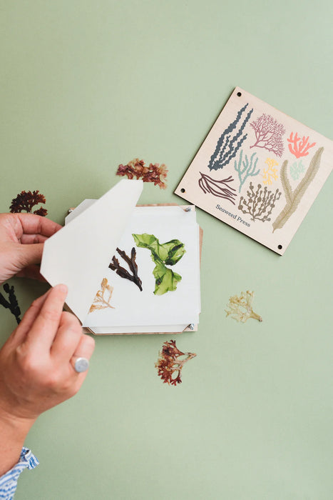 Studio Wald - Seaweed Press Kit