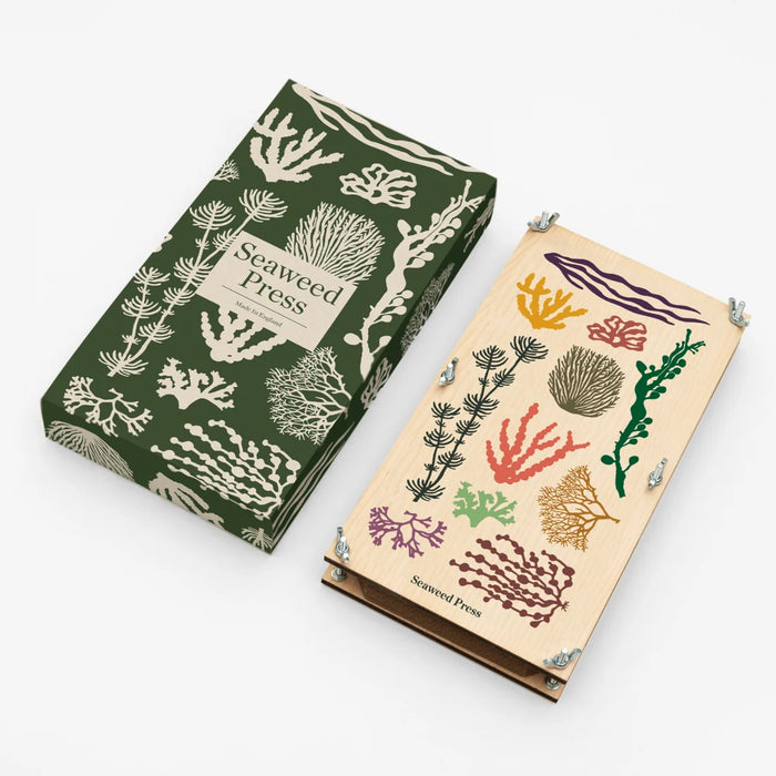 Studio Wald - Large Seaweed Press