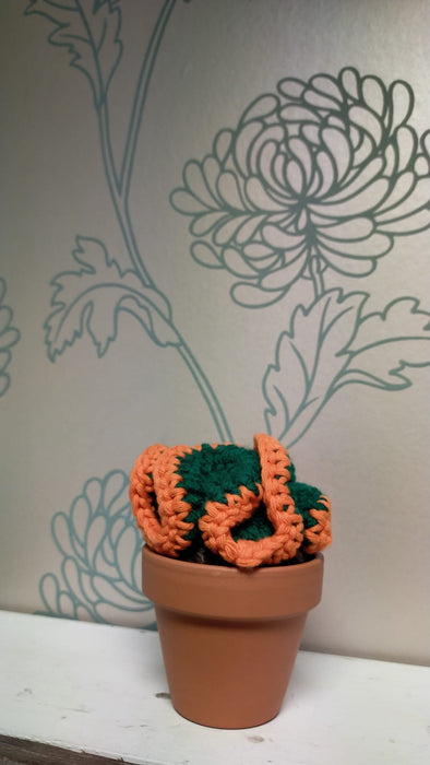 Hooked and Hung Crochet Brain Cacti - Variety of colours available