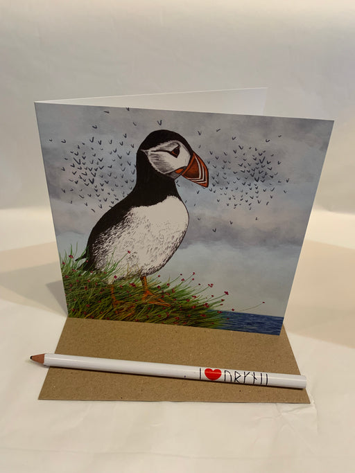 Cherith Harrison Puffin on Cliff Card