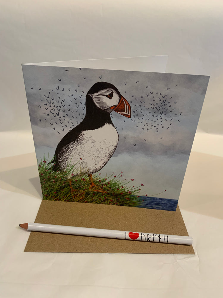 Cherith Harrison Puffin on Cliff Card