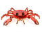 Pop Up and Make 3D - Crab - A6