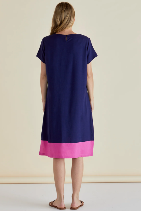 Betty Basics Elwood Dress in Navy/Pink