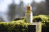 Ormaig - Kelp Infused Hair Oil