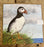 Tammie Norrie Orkney Puffin Set of Three Cards