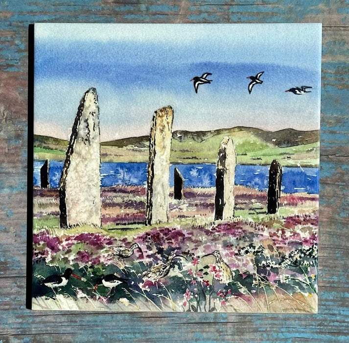 Jane Glue Oystercatchers and Curlews at the Ring of Brodgar Tiles