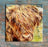 Jane Glue Hamish the Highland Coo Tiles