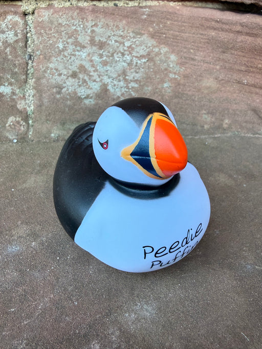 'Peedie' Puffin Duck