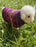 Southbeach Design x Judith Glue Rackwick Fair Isle Felted Sheep