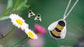 Sheila Fleet Bumblebee Small Stud Earrings in Yellow and Black Enamel (EE0273-YELBK)