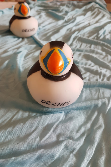 'Orkney' Puffin Duck