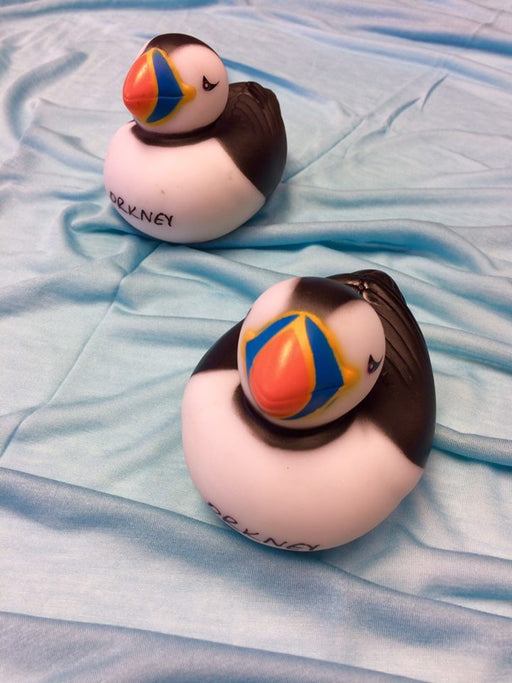'Orkney' Puffin Duck