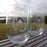 Orkney Gin Company - Set of Two Glasses