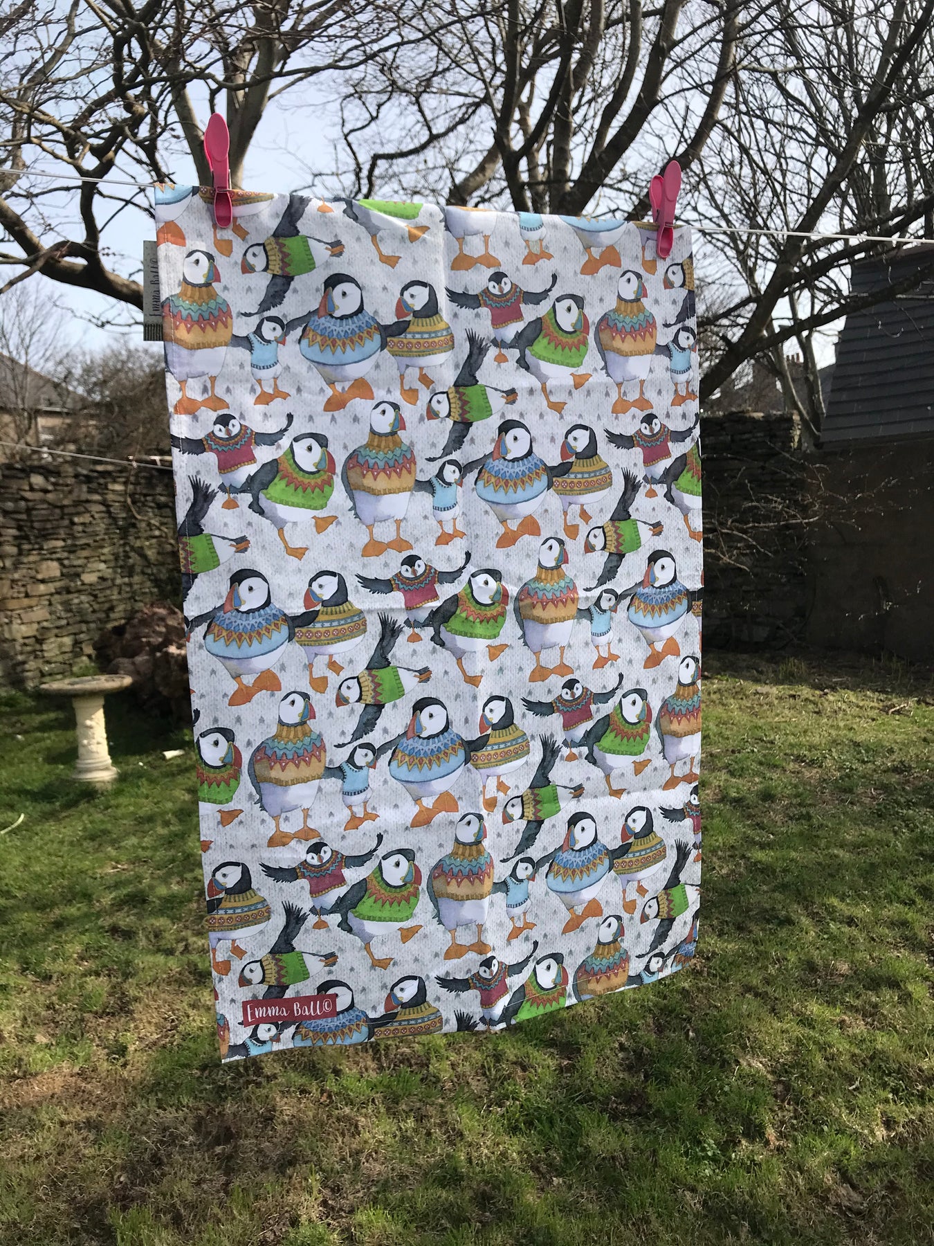 Puffins