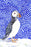 Jane Glue 'Puffin In The Snow' Christmas Card