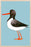 Oystercatcher Wooden Postcard Matt Sewell Birds