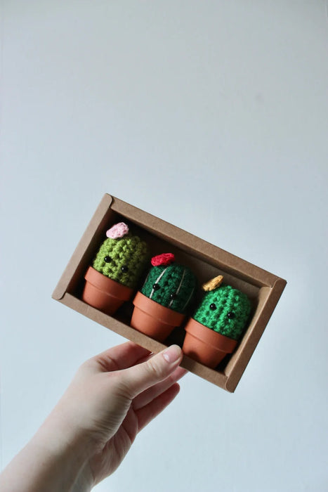 Hooked and Hung Crocheted Cacti (Set of 3)