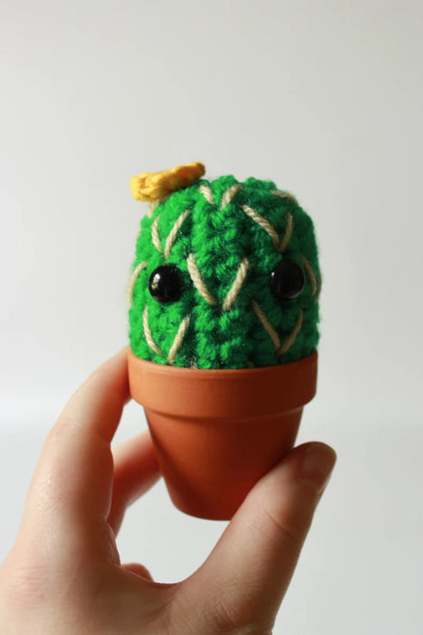 Hooked and Hung Crocheted Cactus with Eyes