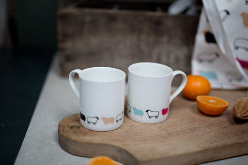 Hairy Coo & Co. - Woolly Ewe Boxed Mug (with Sheep Magnet)